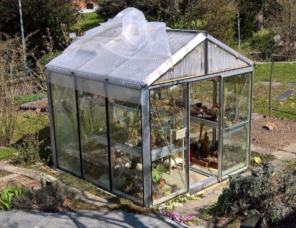 Treibhaus Ende Maerz 2019